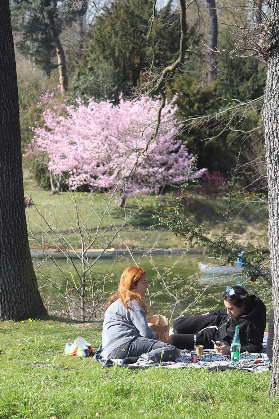 Picnic, Bois de Boulogne Picnic, Bois de Boulogne - Photograph by Gavin Cologne-Brookes